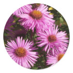 Fall Aster Sticker