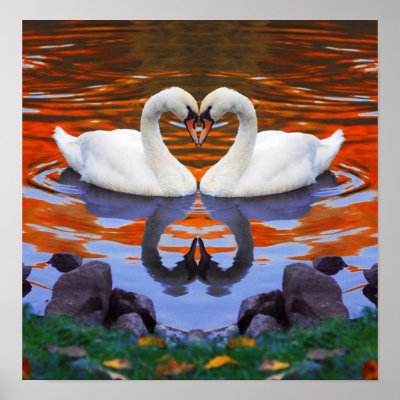 Fall Autumn Lake Reflections of Swans in Love Print by beverlytazangel