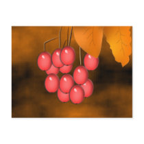 Fall Berries & Leaves