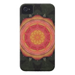 Fall Bloom iPhone 4/4S Cases -Barely There