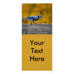 Fall Blue Jay Custom Rack Cards