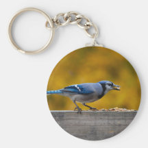 Fall Blue Jay Keychain