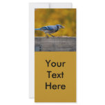 Fall Blue Jay rack cards