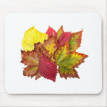 Fall bouquet mouse pads