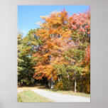 Fall Color 32 ~ print