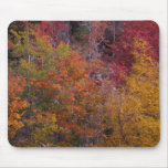 Fall Colors Mousepads
