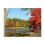 Fall Colour In New England Postcard