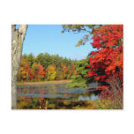 Fall Colour In New England Postcard