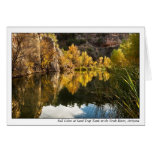 Fall Colours at Sand Trap Tank on the Verde