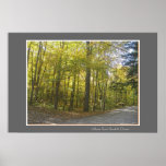 Fall Colours - Eastern Ontario posters