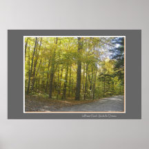 Fall Colours - Eastern Ontario Print