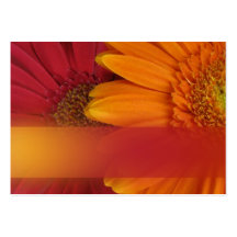 Fall colours gift tags business card template