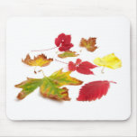 Fall colours mouse pads
