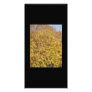 Fall colours picture card