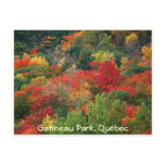 Fall Colours