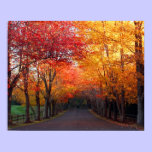 Fall Colours Print posters