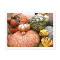 Fall Cornicopia Post Card