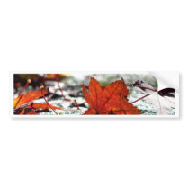 Fall, Dark Bumper Stickers