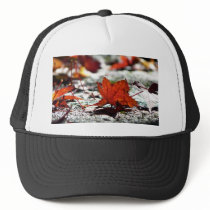 Fall, Dark Trucker Hat