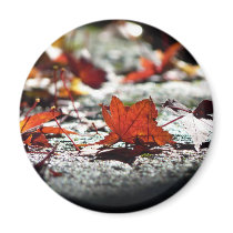Fall, Dark Fridge Magnets