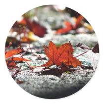 Fall, Dark Stickers