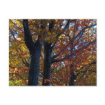Fall Delicacy postcards