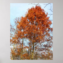 Fall Digital Art Poster Design #1