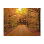 Fall Drive Colour Tour Postcard