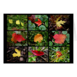Fall(en) beauties cards