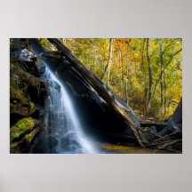 Fall Falls Poster
