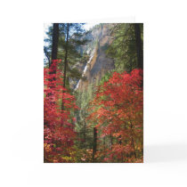 Fall Fantasy (14) Greeting Cards