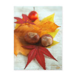 Fall Feelings Post Card