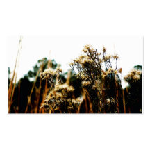 Fall Fields Business Card