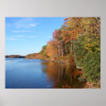 Fall Foliage 37 ~ print
