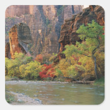 Fall foliage along Virgin River near gateway to Square Sticker