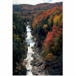Fall foliage at Queechee Gorge, Queechee, Vermont, photo sculptures