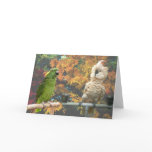 Fall Foliage Large Note Card