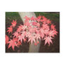 Fall Foliage Post Card