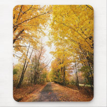 Fall Foliage Walking Path Mouse Mats