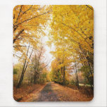 Fall Foliage Walking Path mousepads