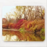 Fall Forest River Scene
