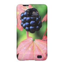 Fall Fruit Galaxy S2 Case