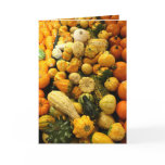 Fall Gourds