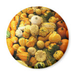 Fall Gourds