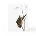 Fall Greetings cards