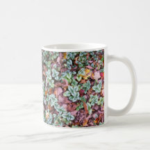 Fall Ground Cover and Leaves Mugs