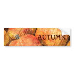 FALL HARVEST PUMPKINS bumper stickers
