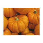Fall Harvest Pumpkins postcards