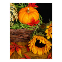 Fall Harvest Sunflowers Postcards