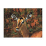 Fall Impala fantasy art Postcard